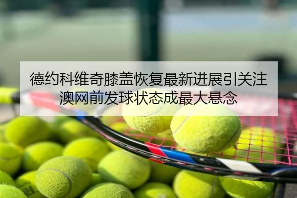 德约科维奇膝盖恢复最新进展引关注 澳网前发球状态成最大悬念